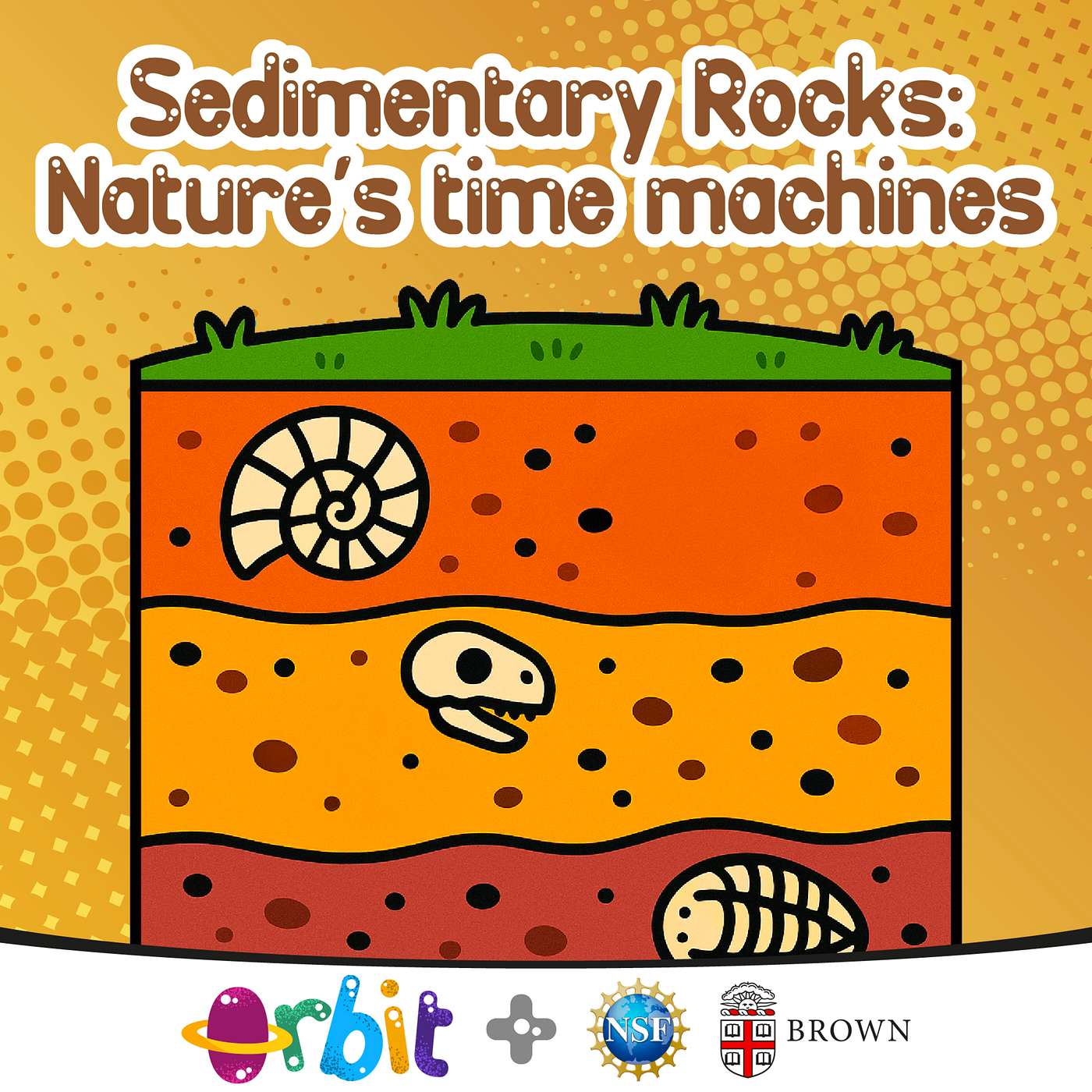 Sedimentary Rocks: Nature's time machines!