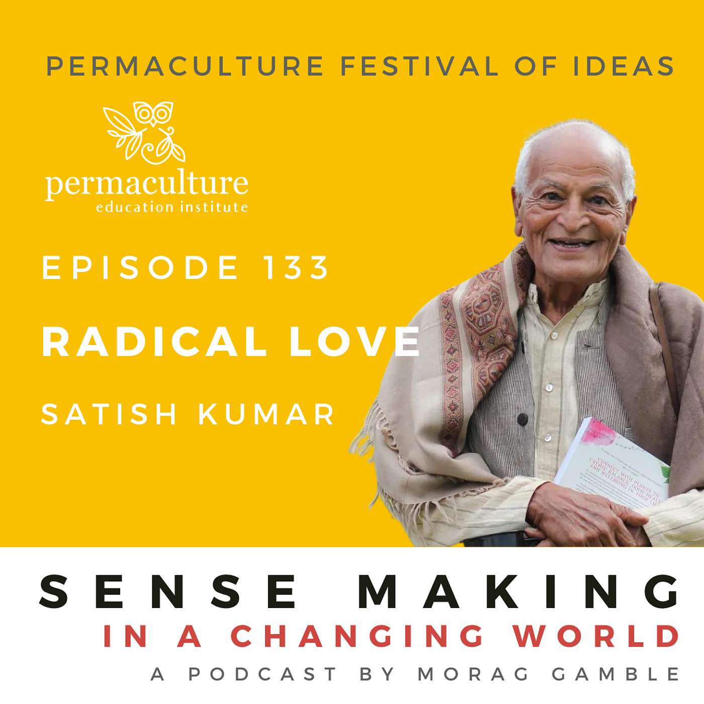 Sense-Making in a Changing World