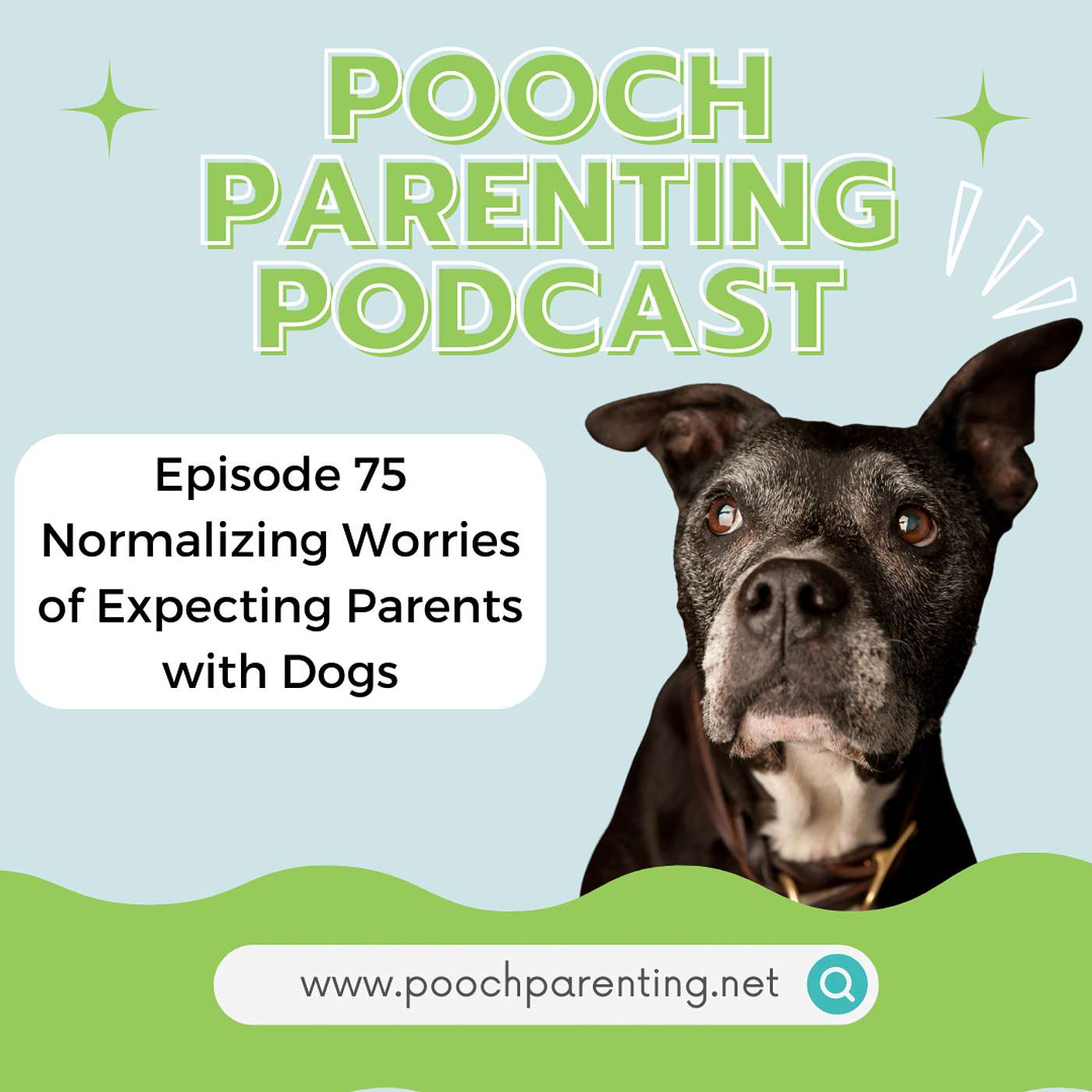 75. Normalizing Worries of Expecting Parents with Dogs