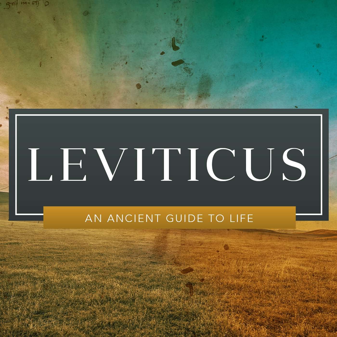 The Bread of Gratitude. Leviticus 2