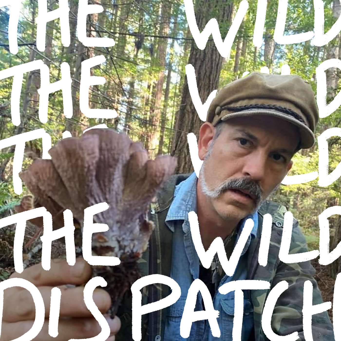 The Wild Dispatch