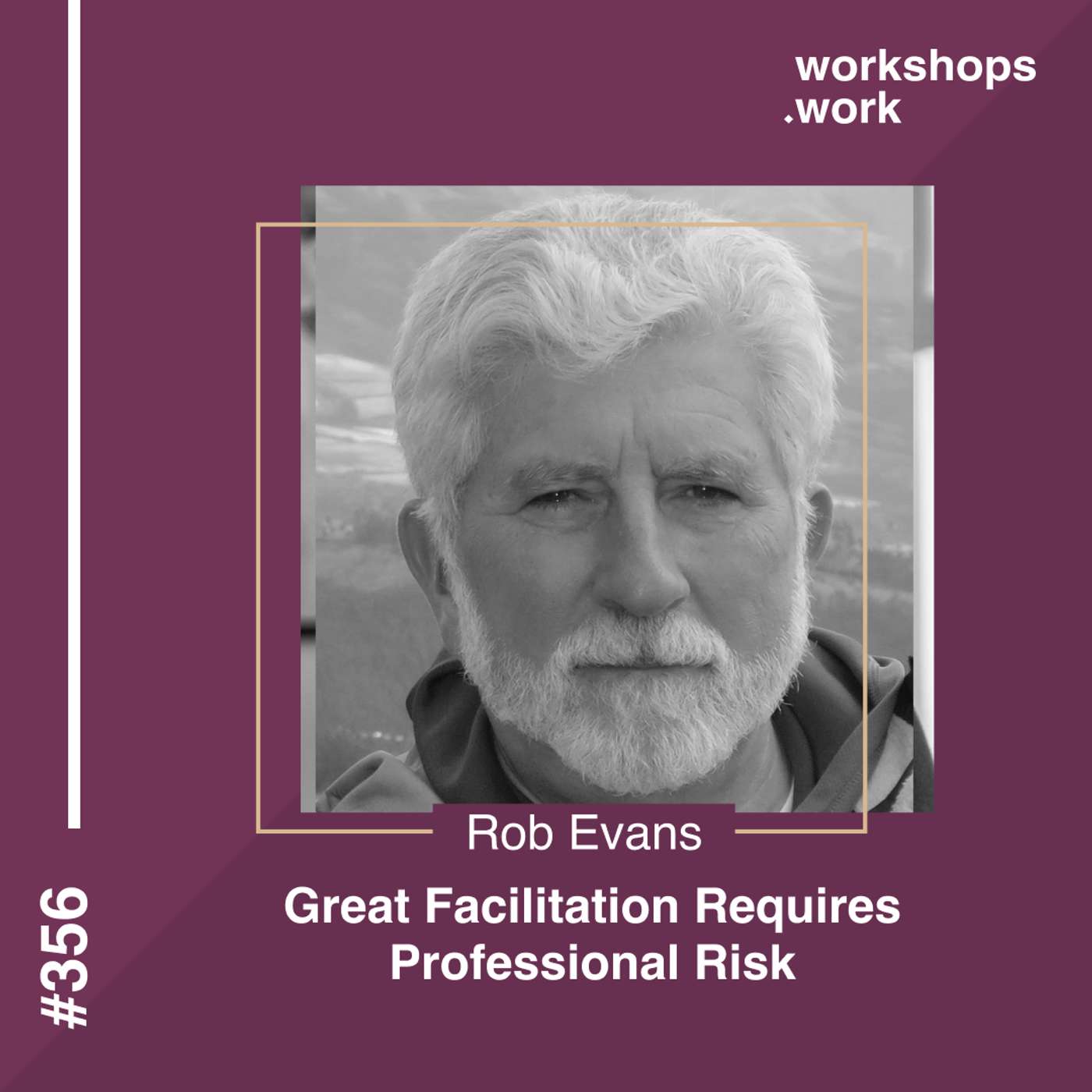 356 - Great Facilitation Requires Professional Risk with Rob Evans