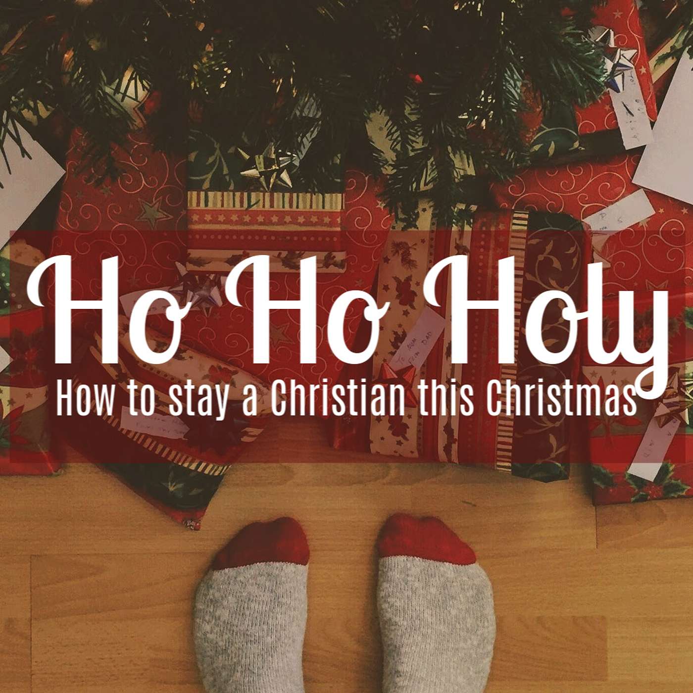 Ho Ho Holy Part 1: Turkey and Stressing