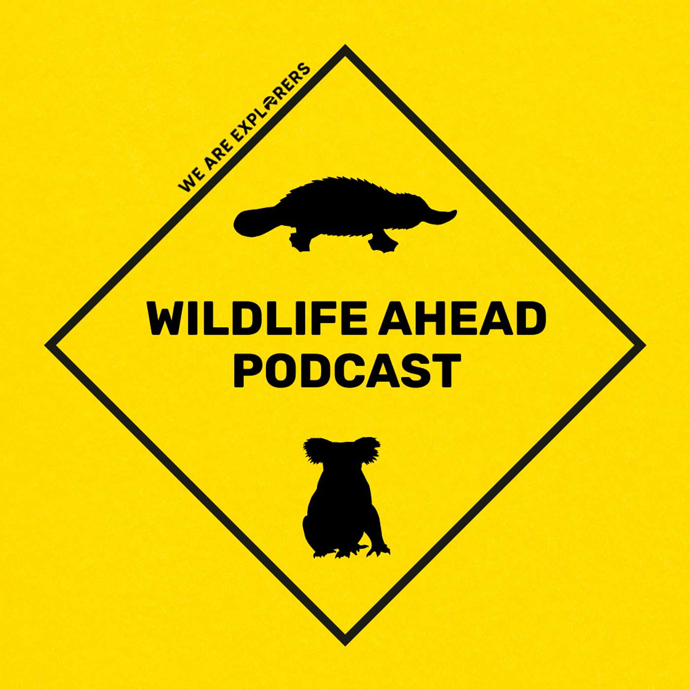 Wildlife Ahead #1 – We Visited Victoria’s Desert to Find Elusive Composting Birds