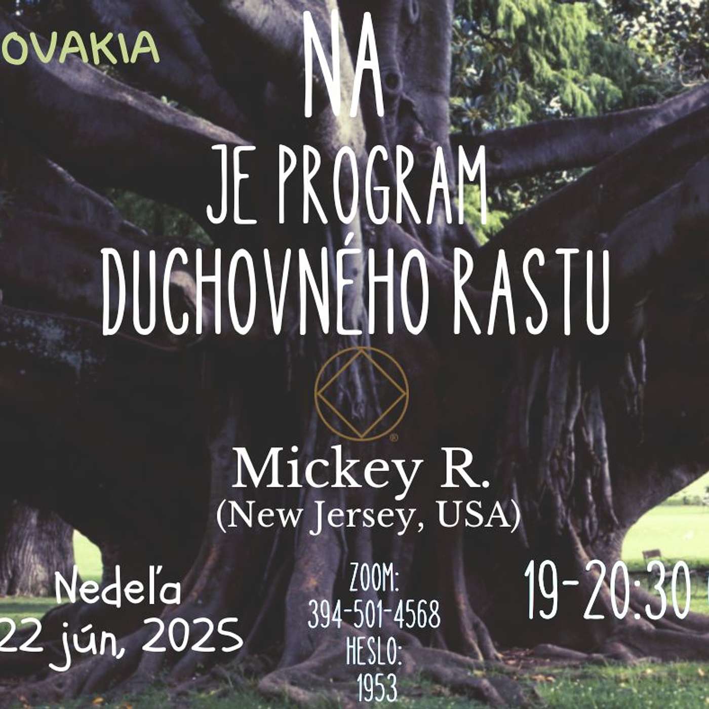 NA je program duchovného rastu - Mickey R. (New Jersey, USA) - 22. 6. 2025 episode artwork
