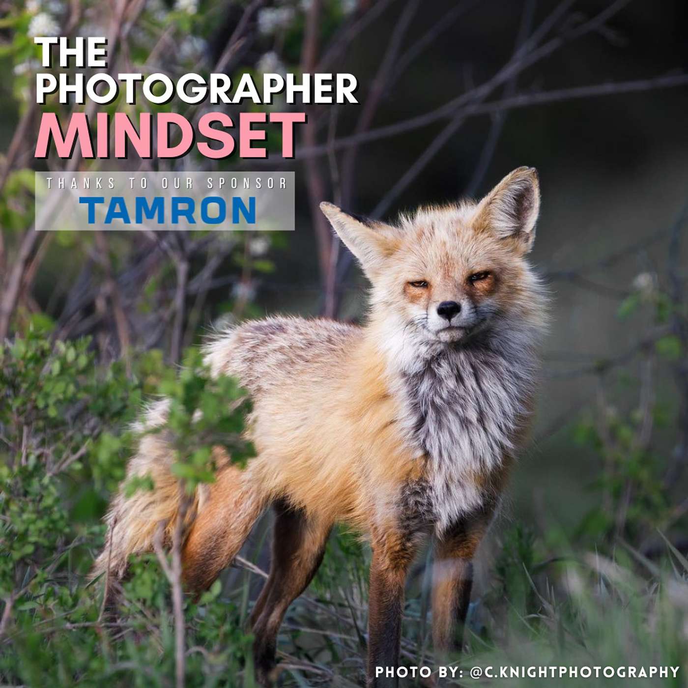 The Photographer Mindset Guide: 