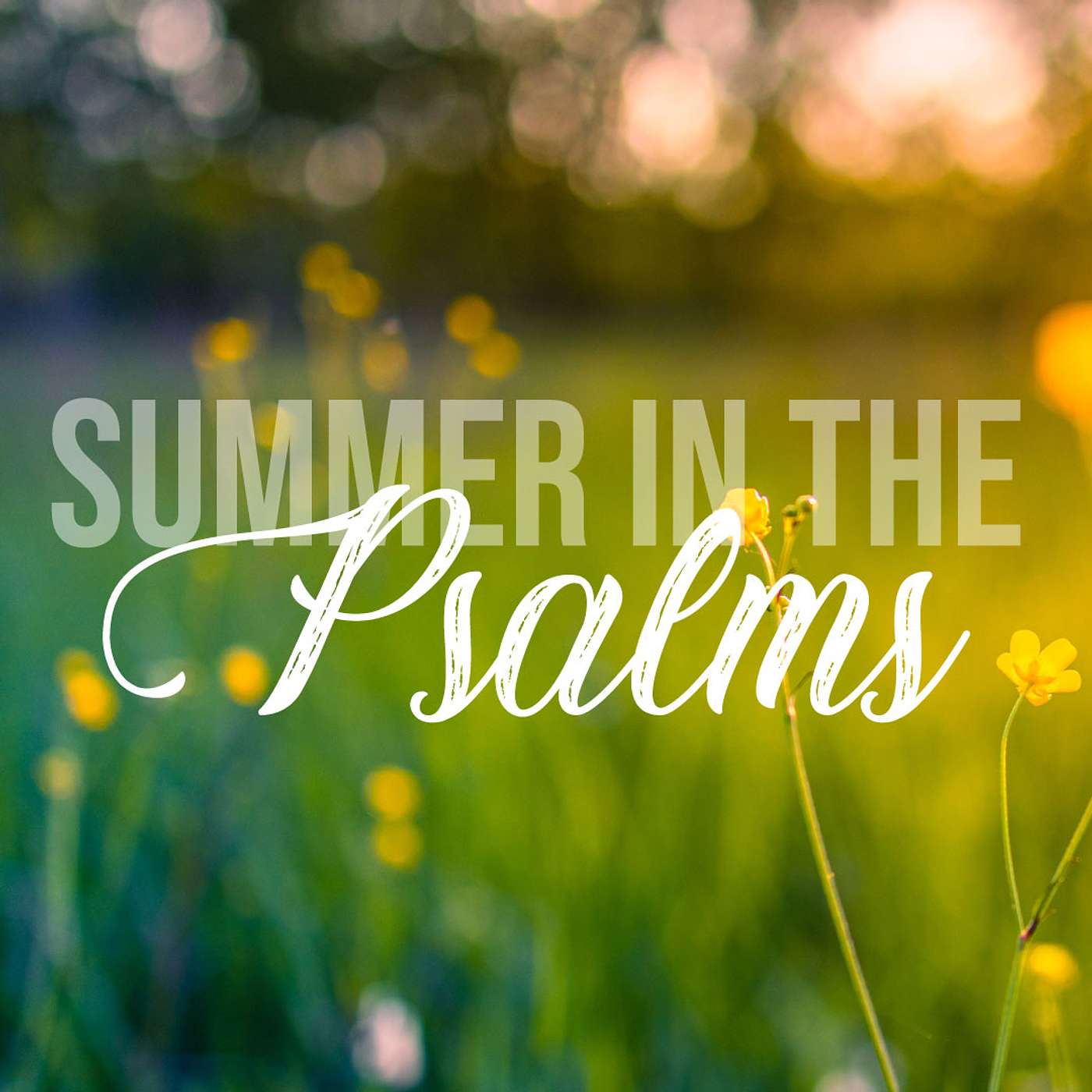 Grandview Church Sunday Sermons