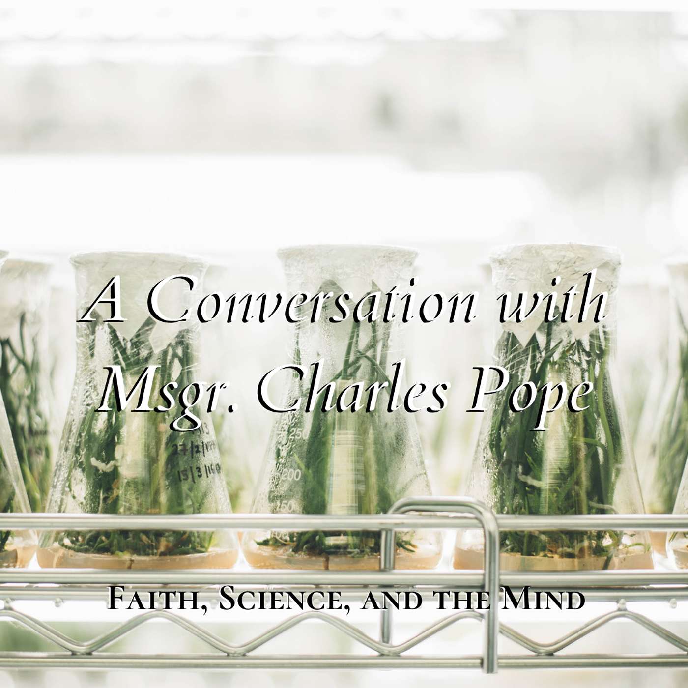The Endow Podcast