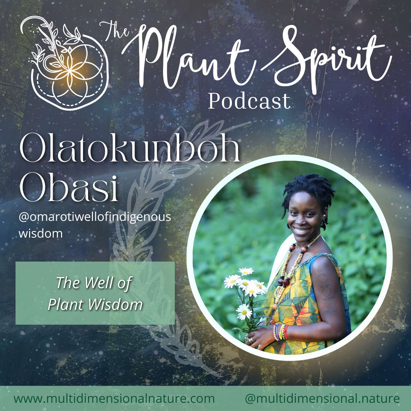 The Well of Plant Wisdom with Olatokunboh Obasi
