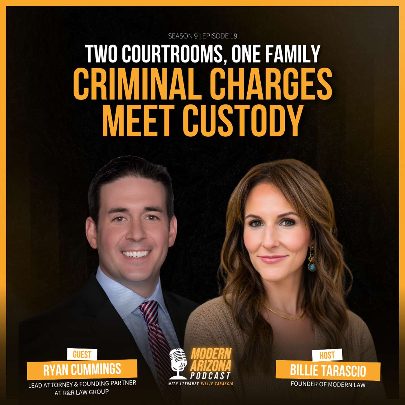 Plead Guilty, Lose Your Kids? How Criminal & Family Court Collide episode artwork