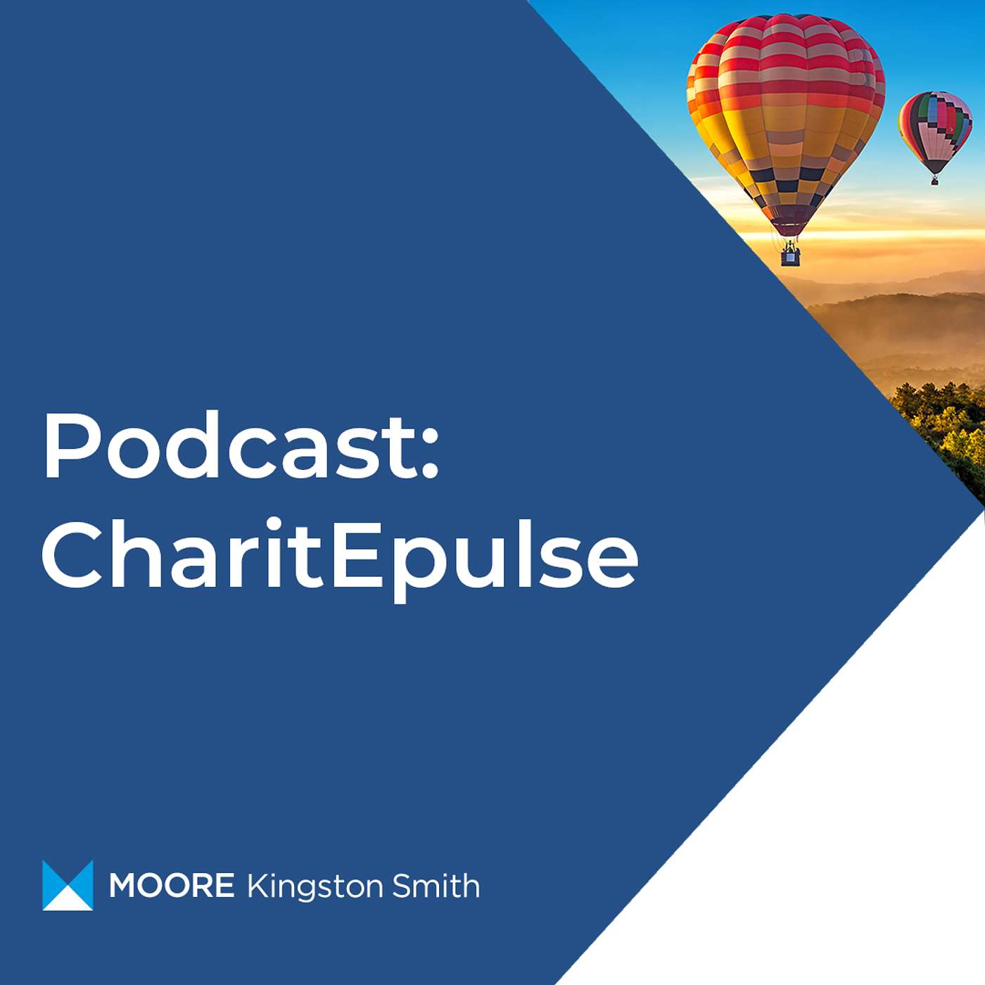 CharitEpulse: Diversity, disclosure and debt episode artwork