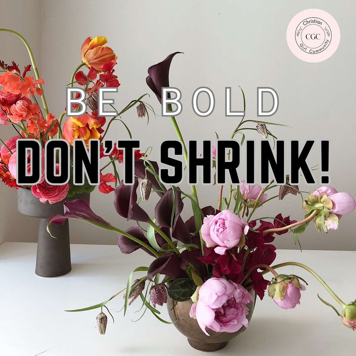 Don't Shrink! (Be Bold) episode artwork