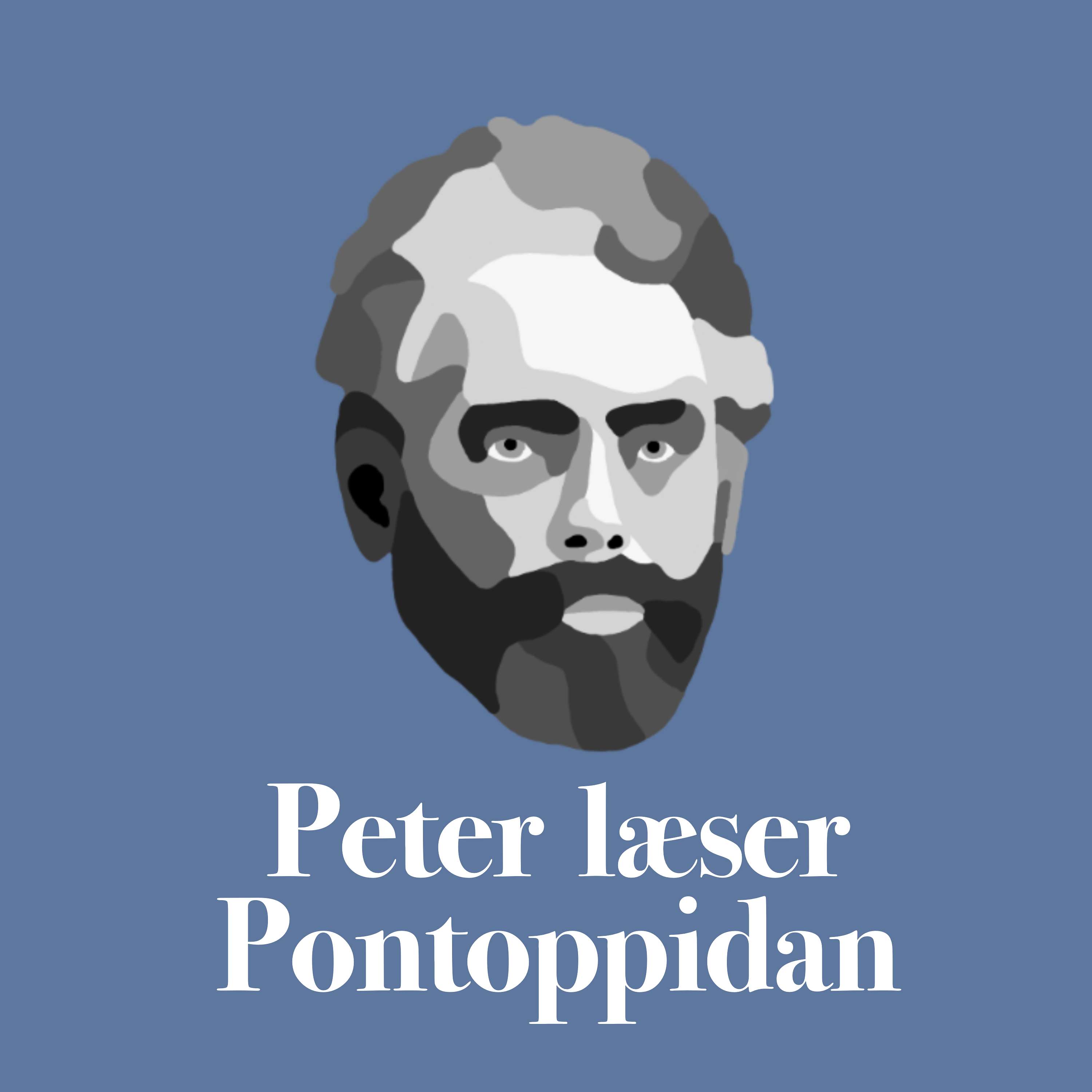 Peter Læser Pontoppidan af Peter Lauritsen