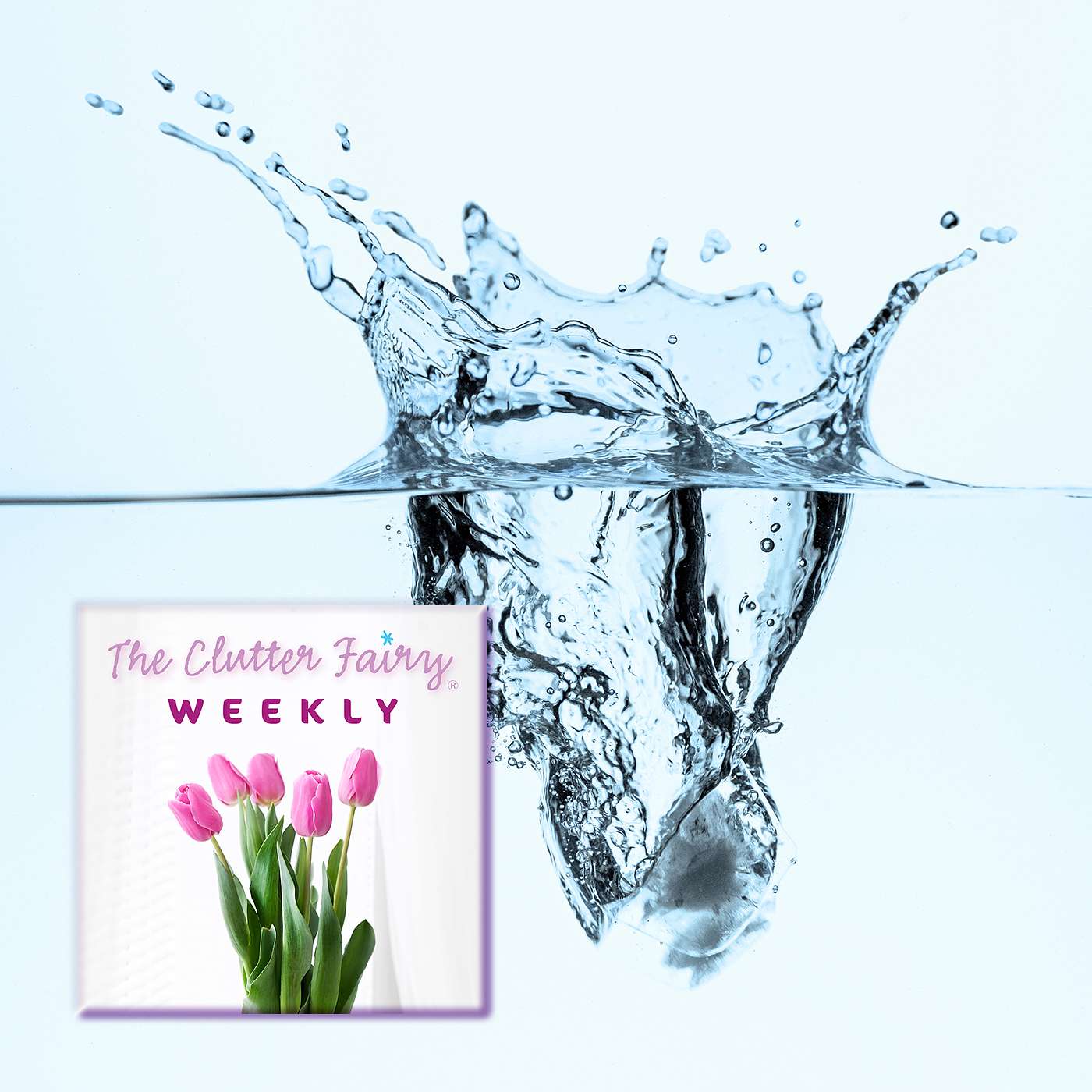 Reality Checks: What We Learn About Ourselves as We Get Organized - The Clutter Fairy Weekly #262