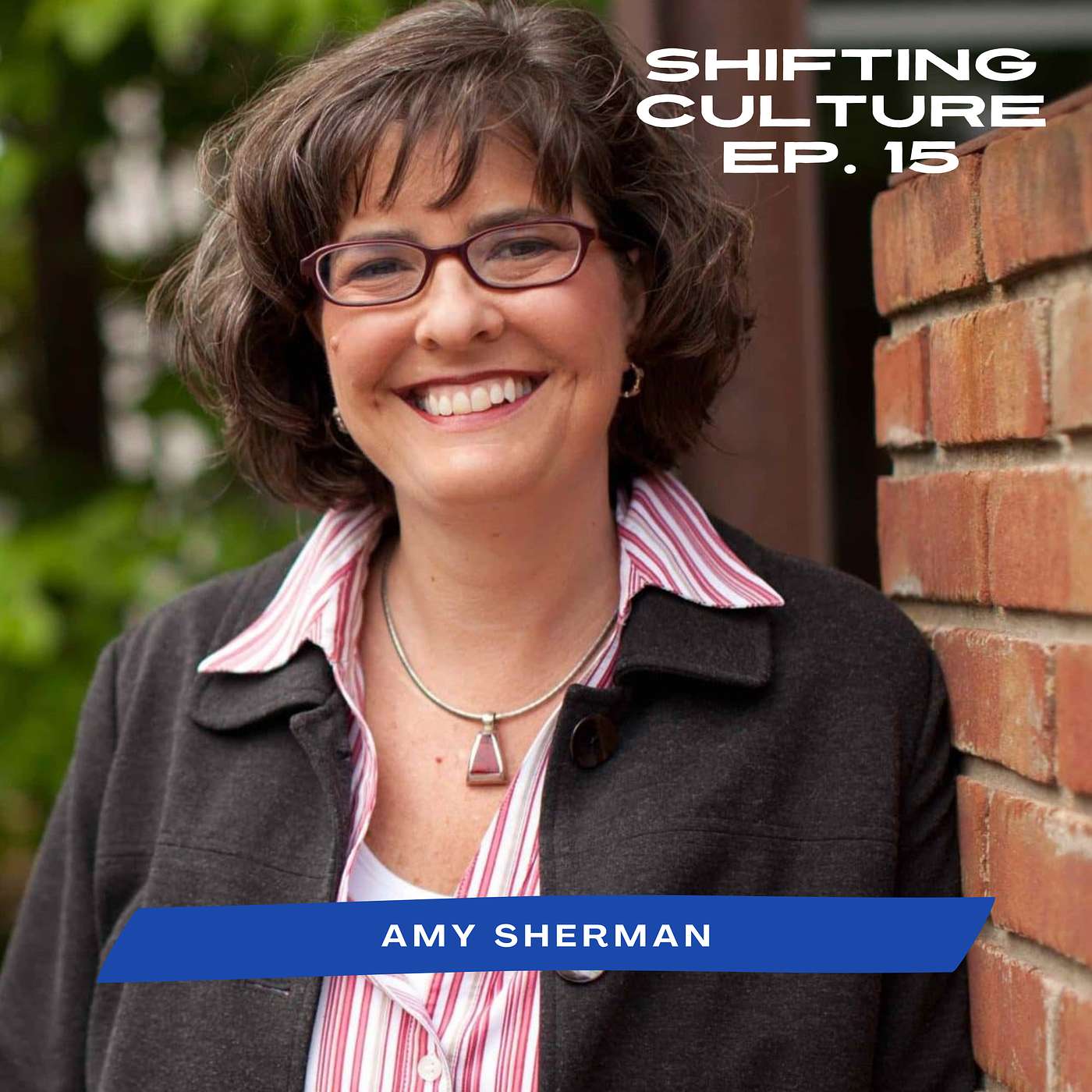 Ep. 15 Amy L. Sherman - Holistic Transformation, the Capacity to Bring Capacity