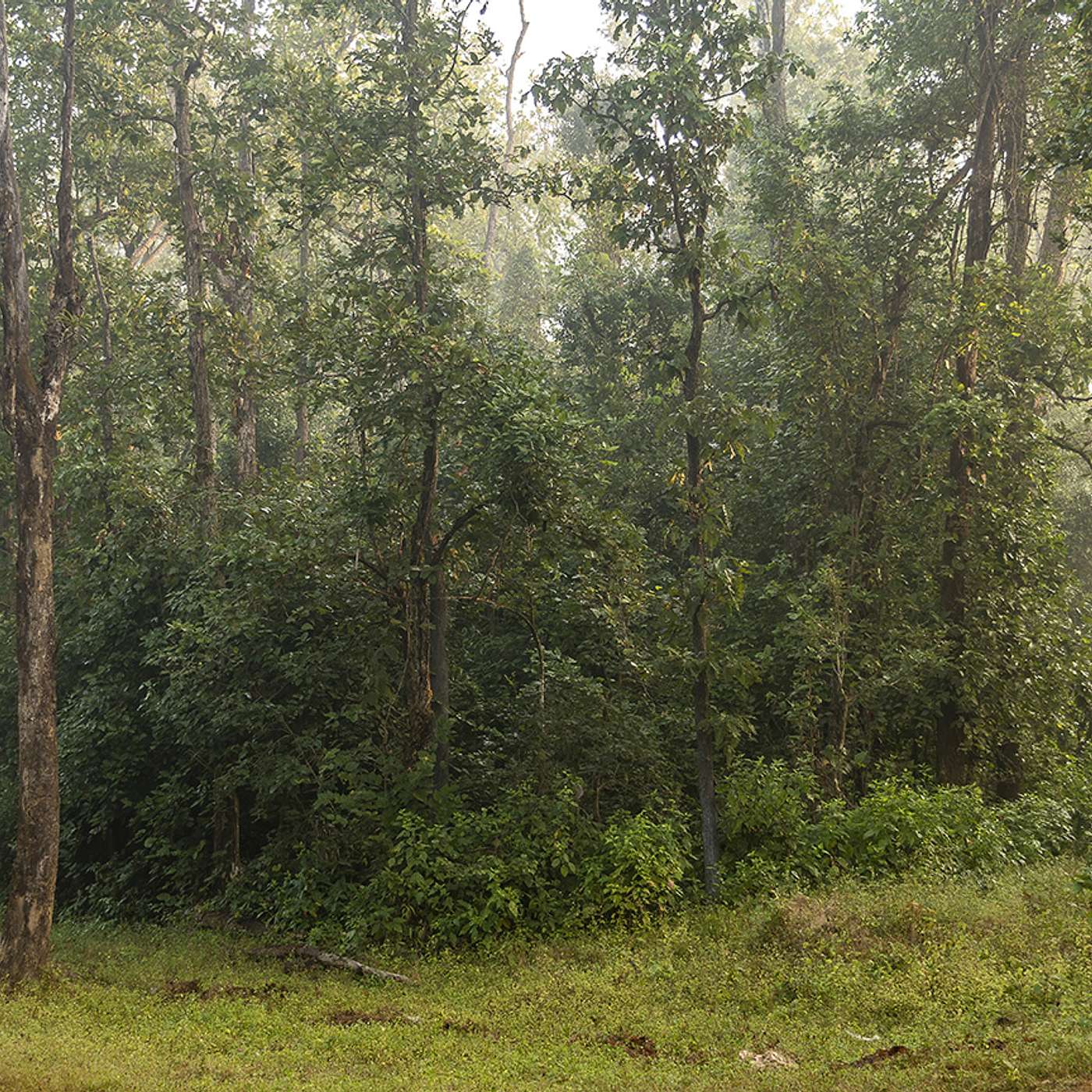 Relaxations Breathwork & Meditations by Yoga for Scleroderma