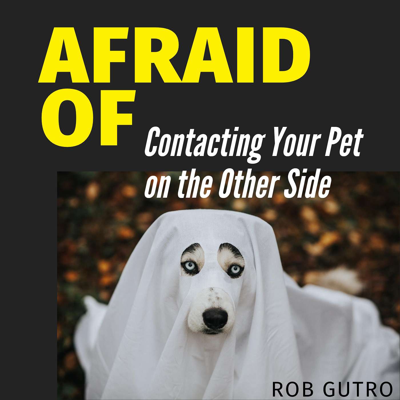 Afraid of Nothing Podcast