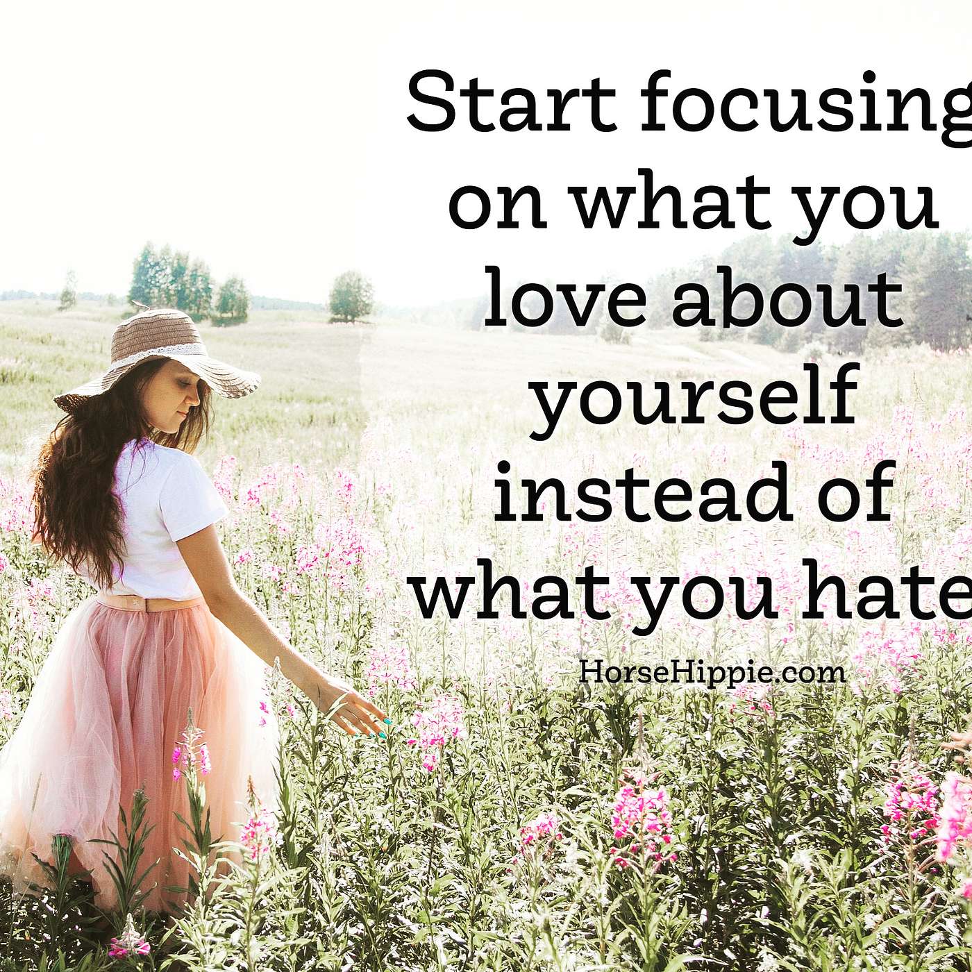 Focus on the Love episode artwork