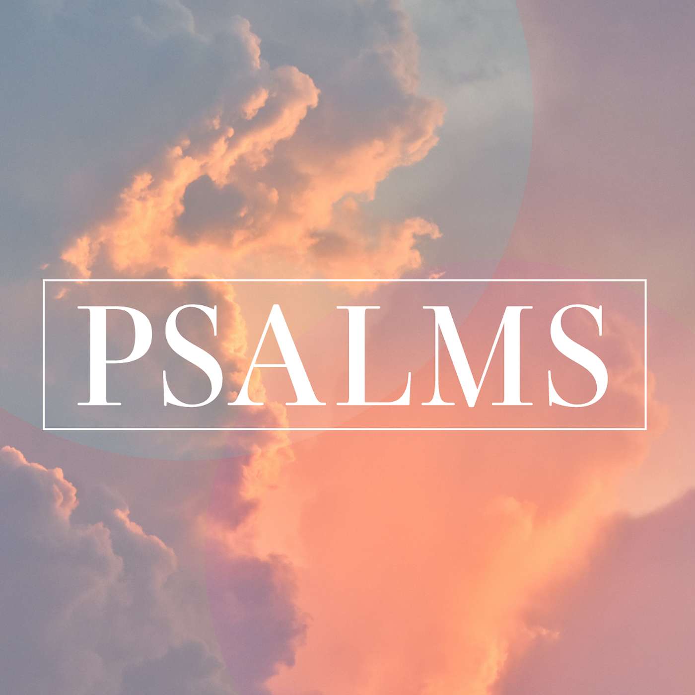 Summer in the Psalms - Psalm 42 episode artwork