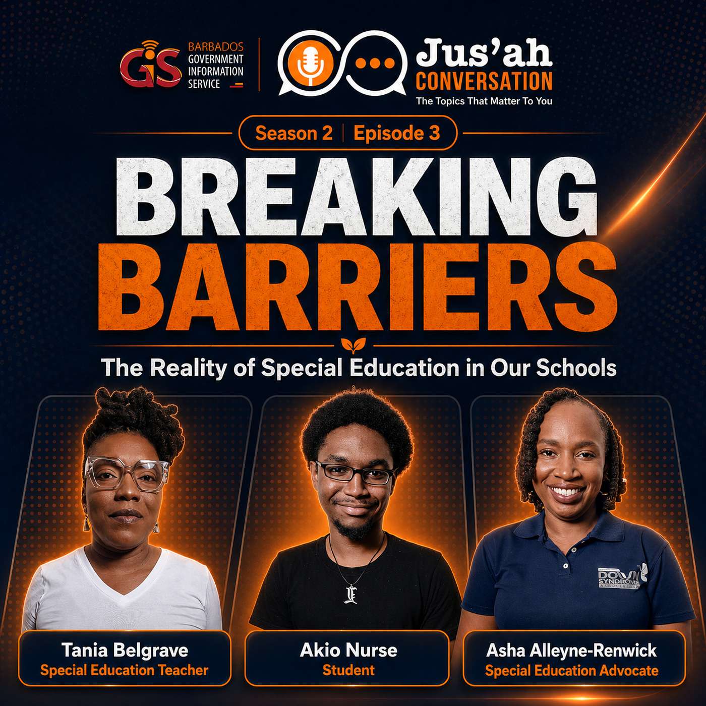 Breaking Barriers: The Reality of Special Education in Our Schools episode artwork
