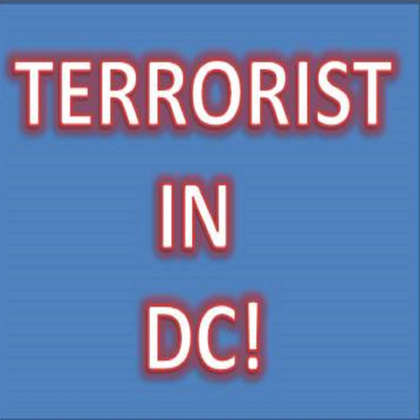 DONALD J TRUMP IS A TERRORIST LEADER! NO GRAY! @REALDONALDTRUMP #REPUBLICANS