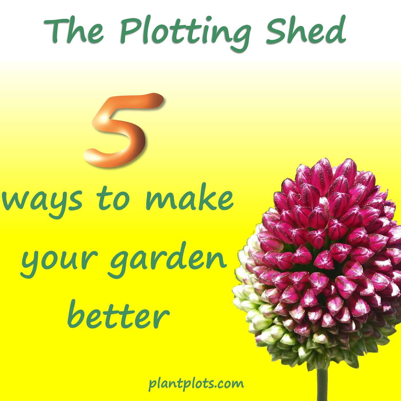 5 simple changes to make a garden interesting