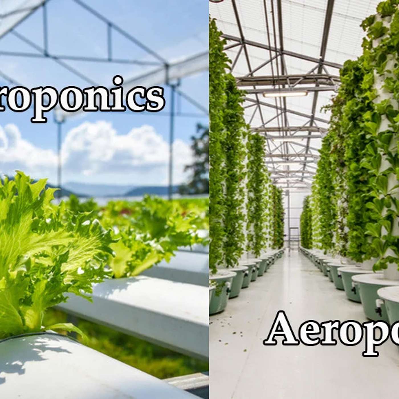The Science Behind That