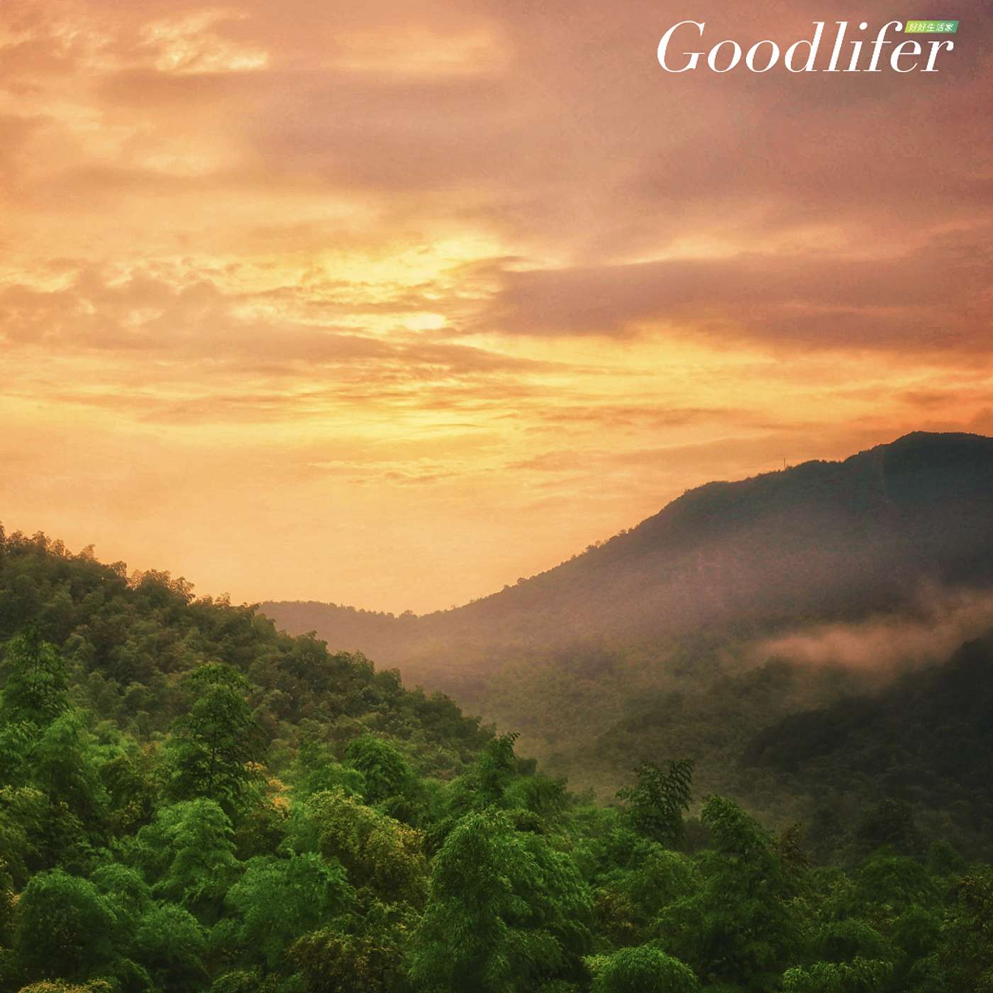 Ep.184【靈魂脫口秀】太子爺: 「你今年如何過? 會是你未來5年10年的光景?!( 下集) | Eddie & 靈媒球媽