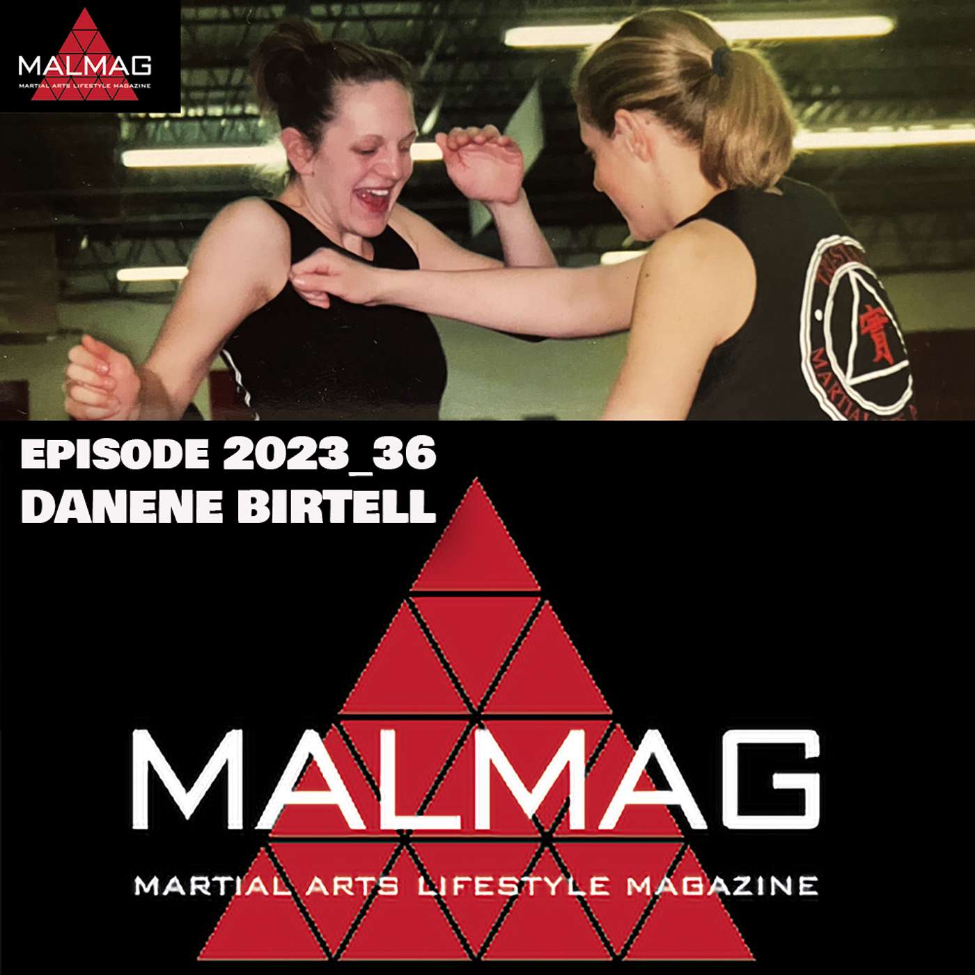 The Martial Arts Lifestyle Podcast