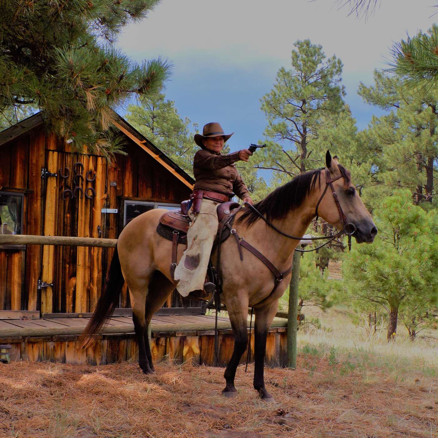 2020 GILA MOUNTAIN WILDERNESS EXPEDITION WITH PISTOL PENNY episode artwork