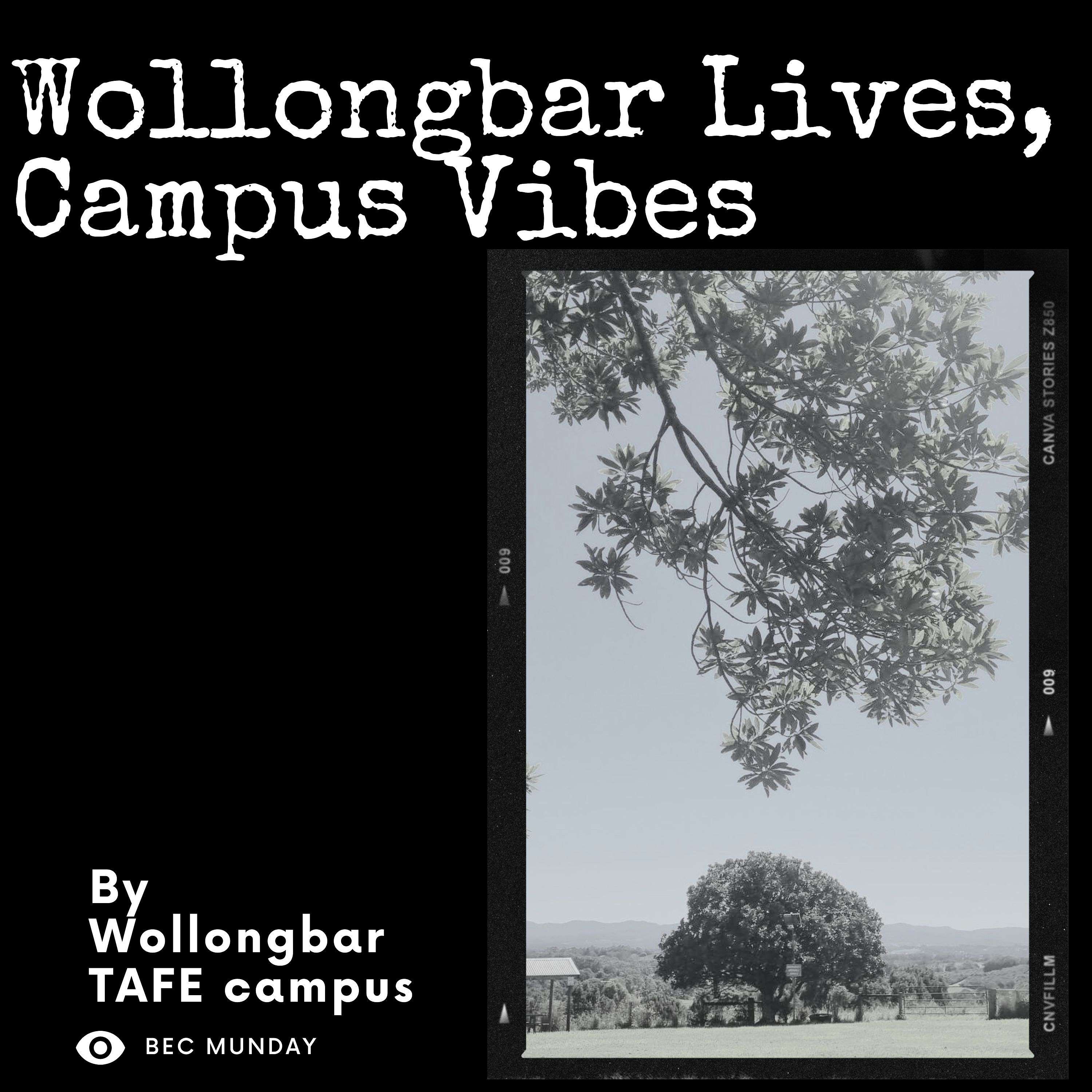 Wollongbar Lives, Campus Vibes cover art