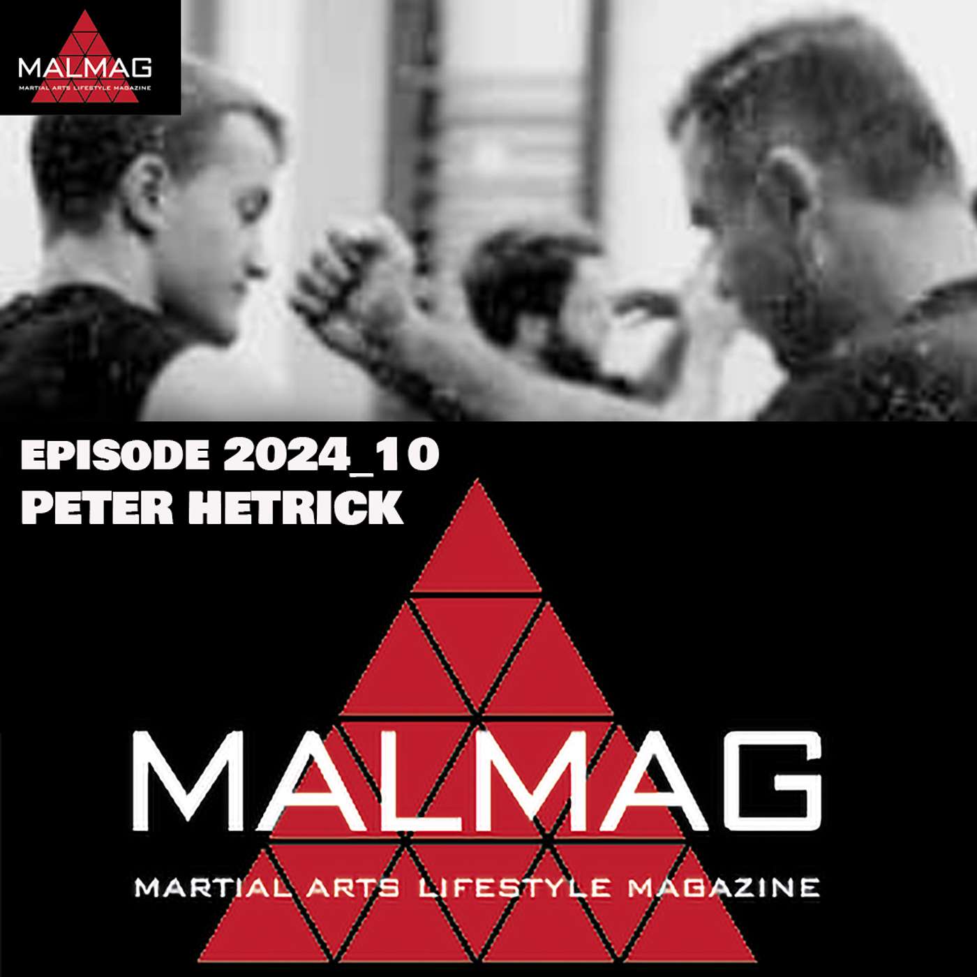 The Martial Arts Lifestyle Podcast