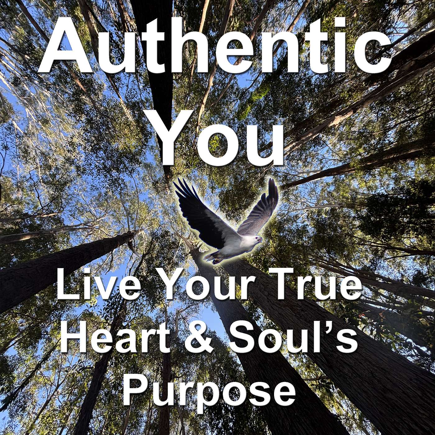 2 new books published about authenticity 1st August episode artwork