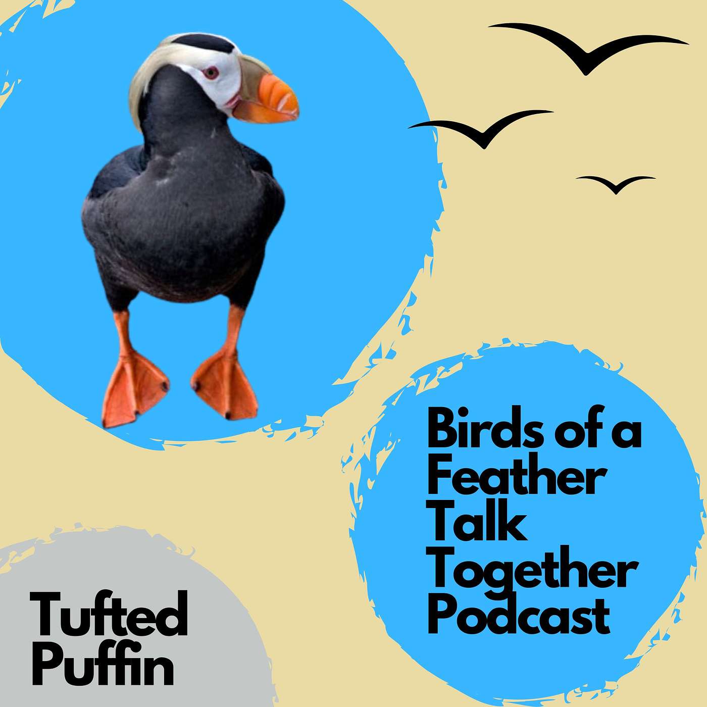 Birds of a Feather Talk Together