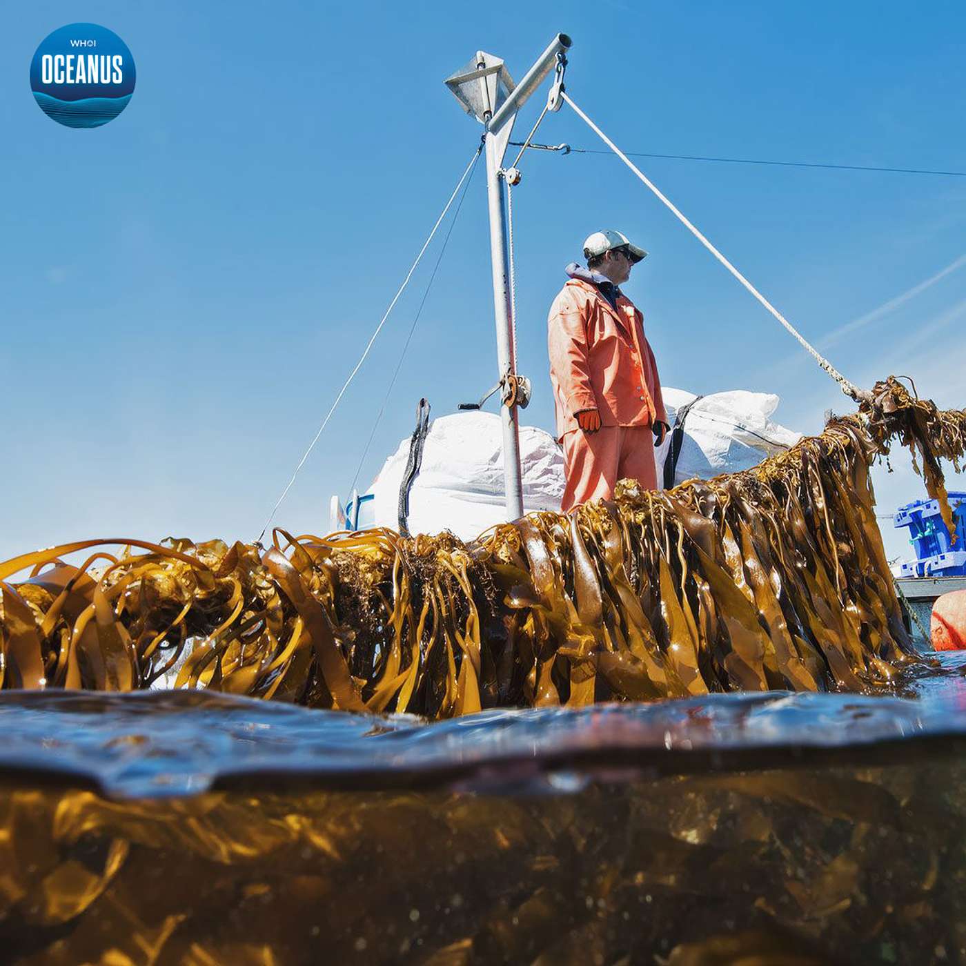 Harnessing the ocean to power transportation