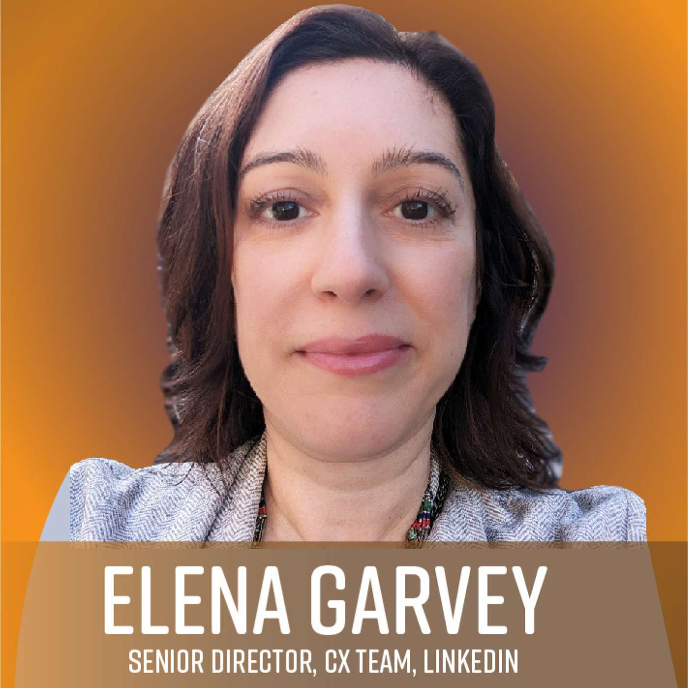 Conversations with Masters: How to Better Understand Your Customers - Hear Elena Garvey, Senior Director, CX Team, LinkedIn