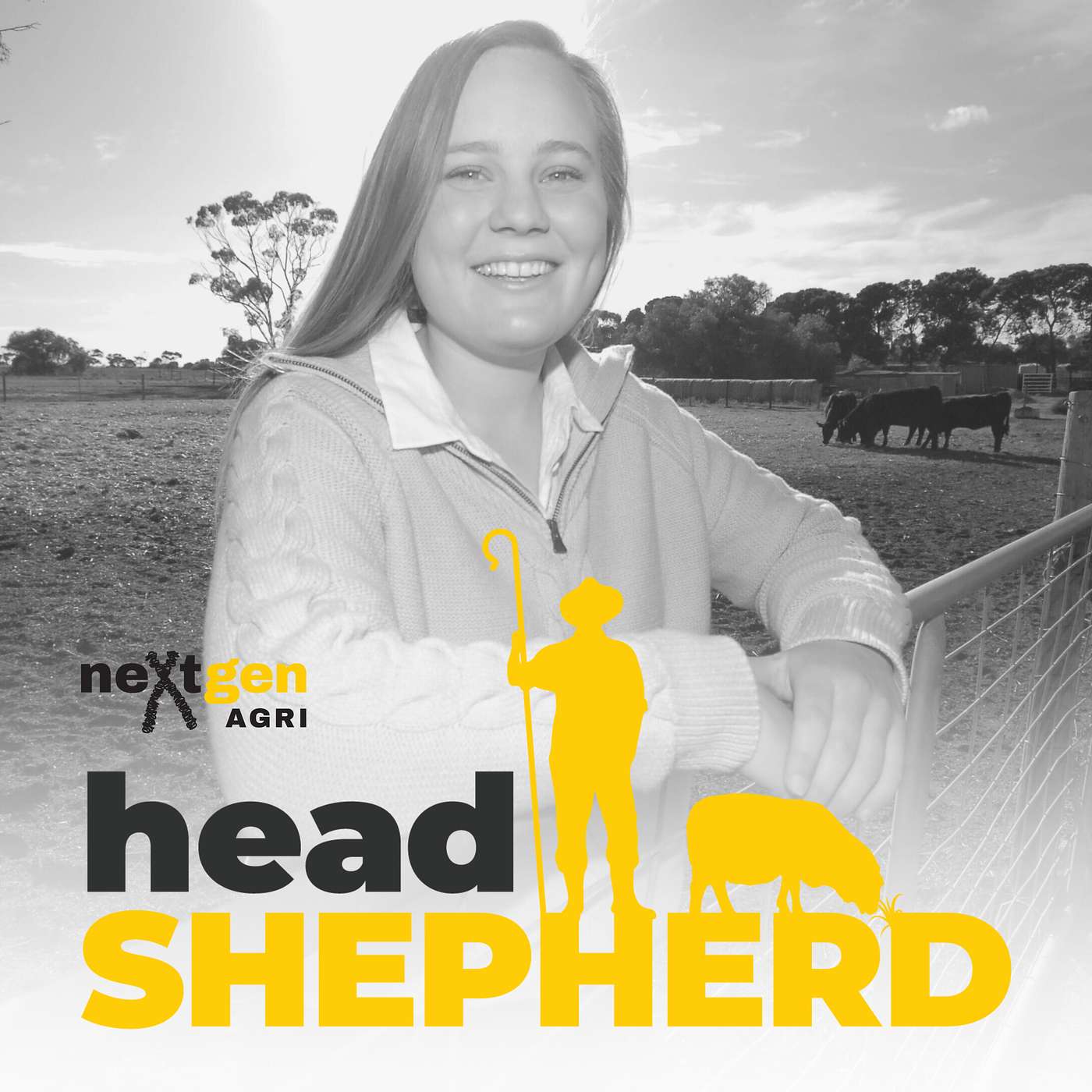 Head Shepherd