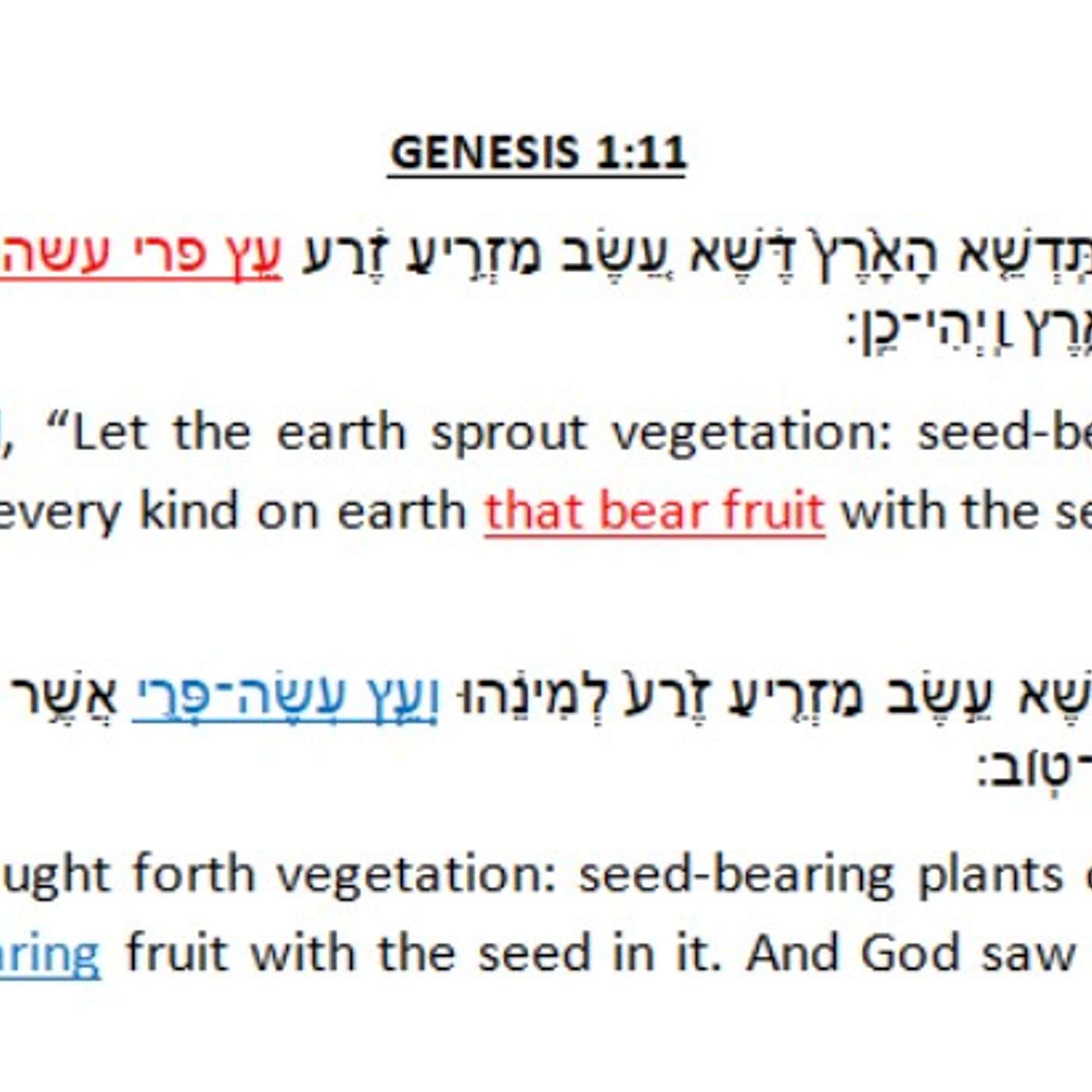 Episode 37 - Tu Bsvhat part 2 - The process is not as sweet as the ultimate fruit