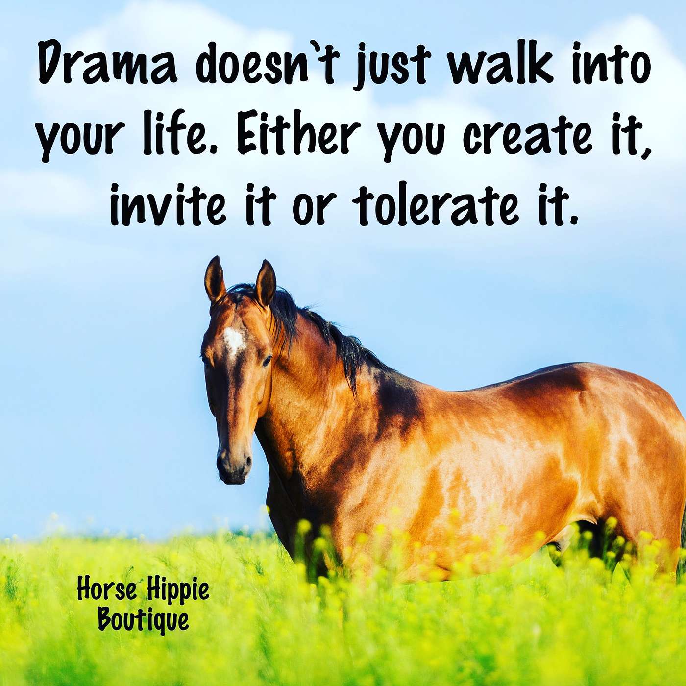Drama Free episode artwork