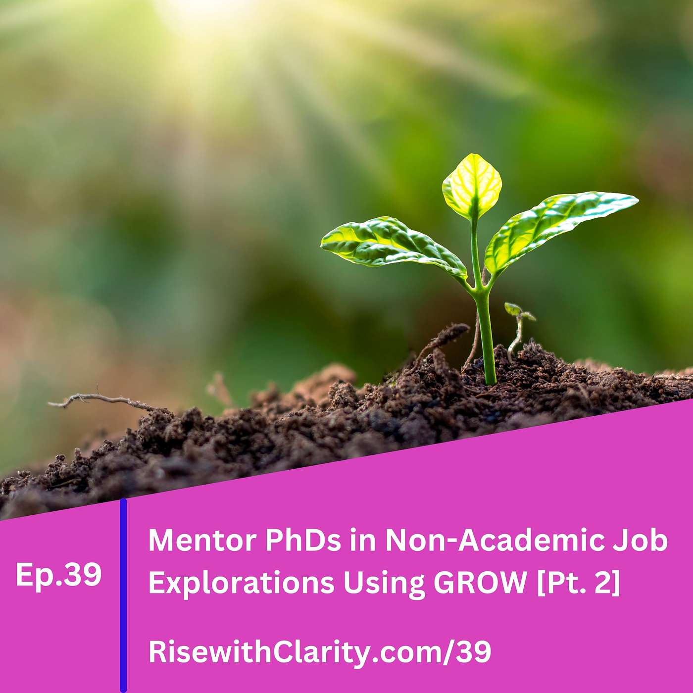 Rise with Clarity Podcast