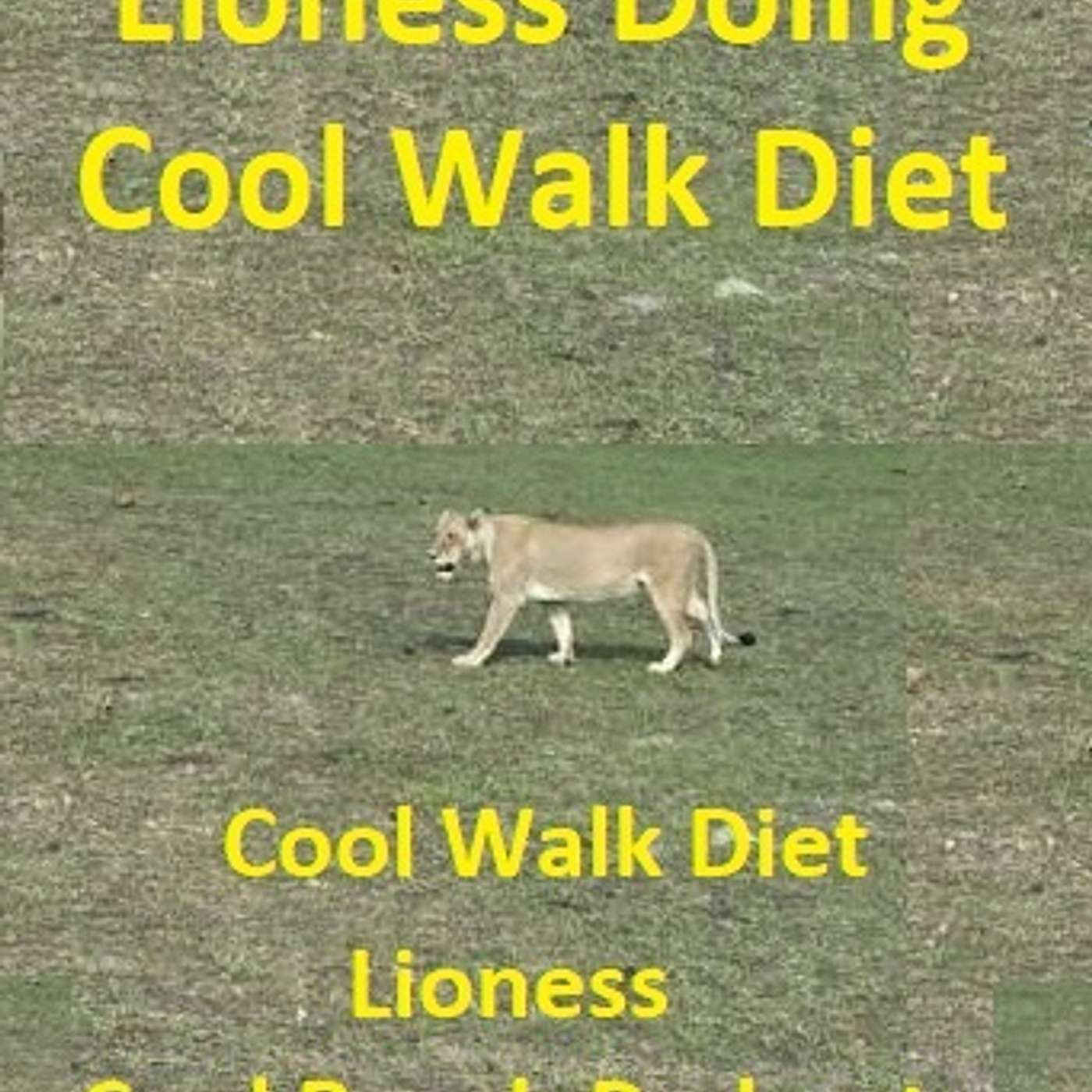 Cool Walk Weight Loss CB 326