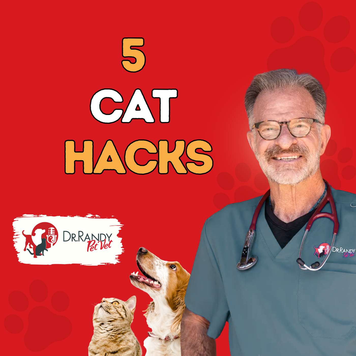 5 Tips to Improve Your Cat's Quality of Life