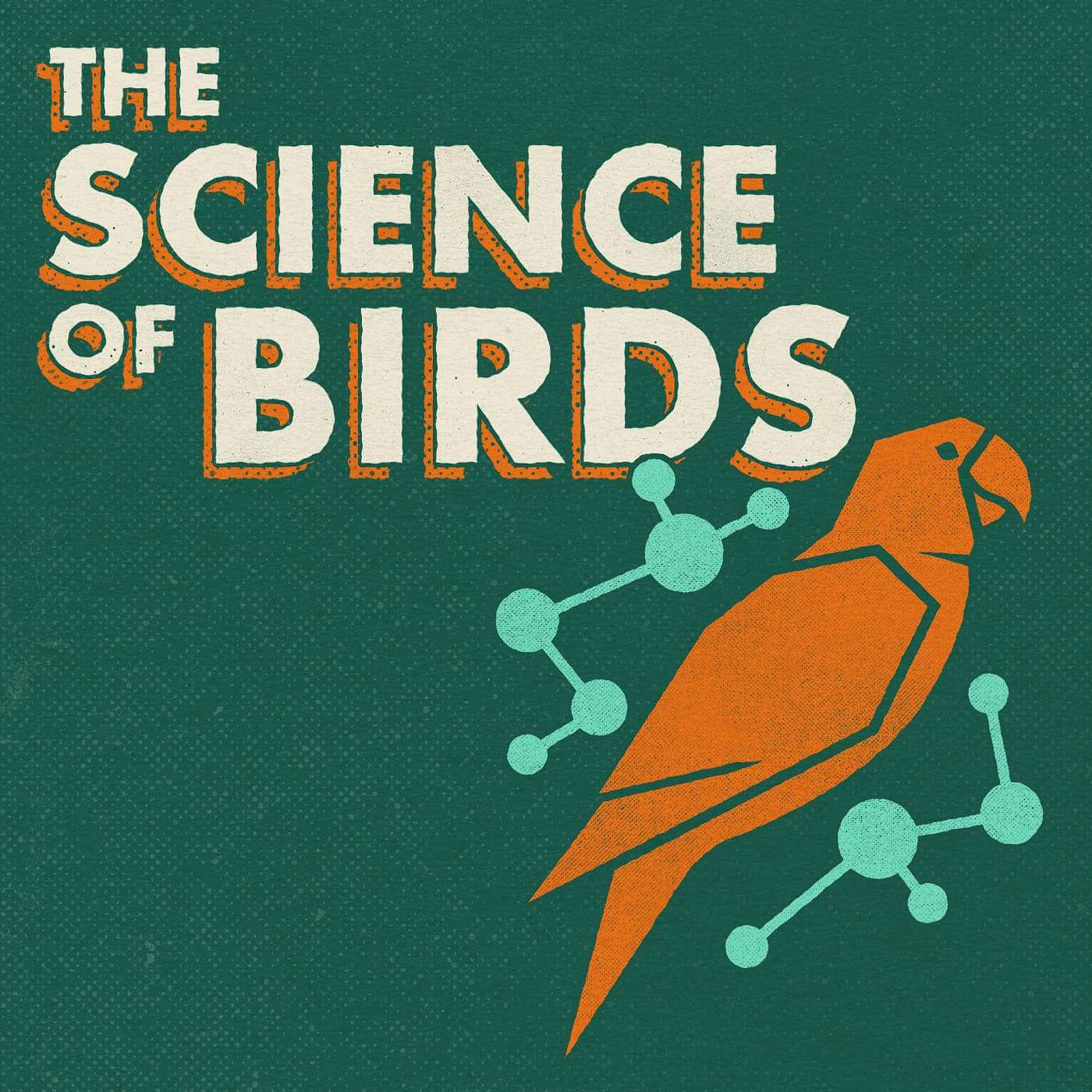 cover of episode Answers to Your Questions About Birds - AMA - Vol 4