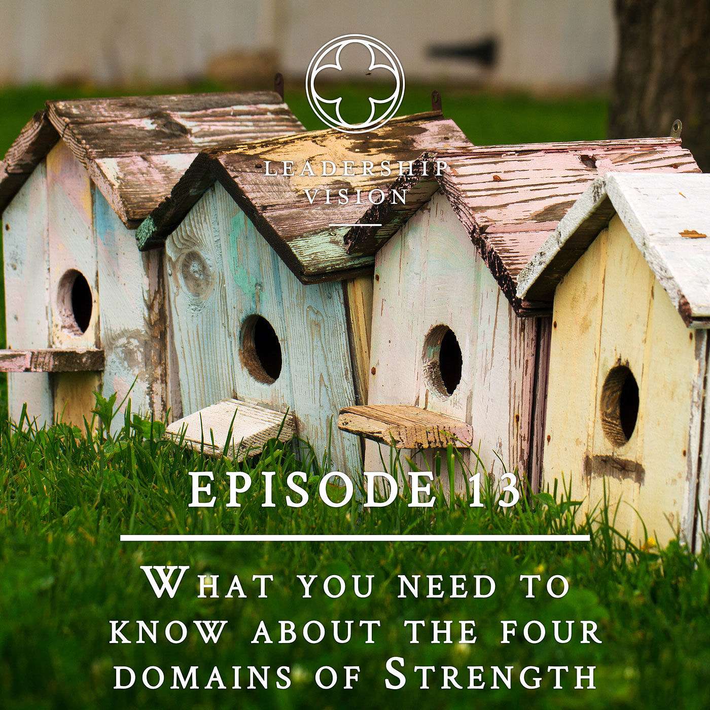 What you need to know about the four domains of Strength with Brian Schubring episode artwork