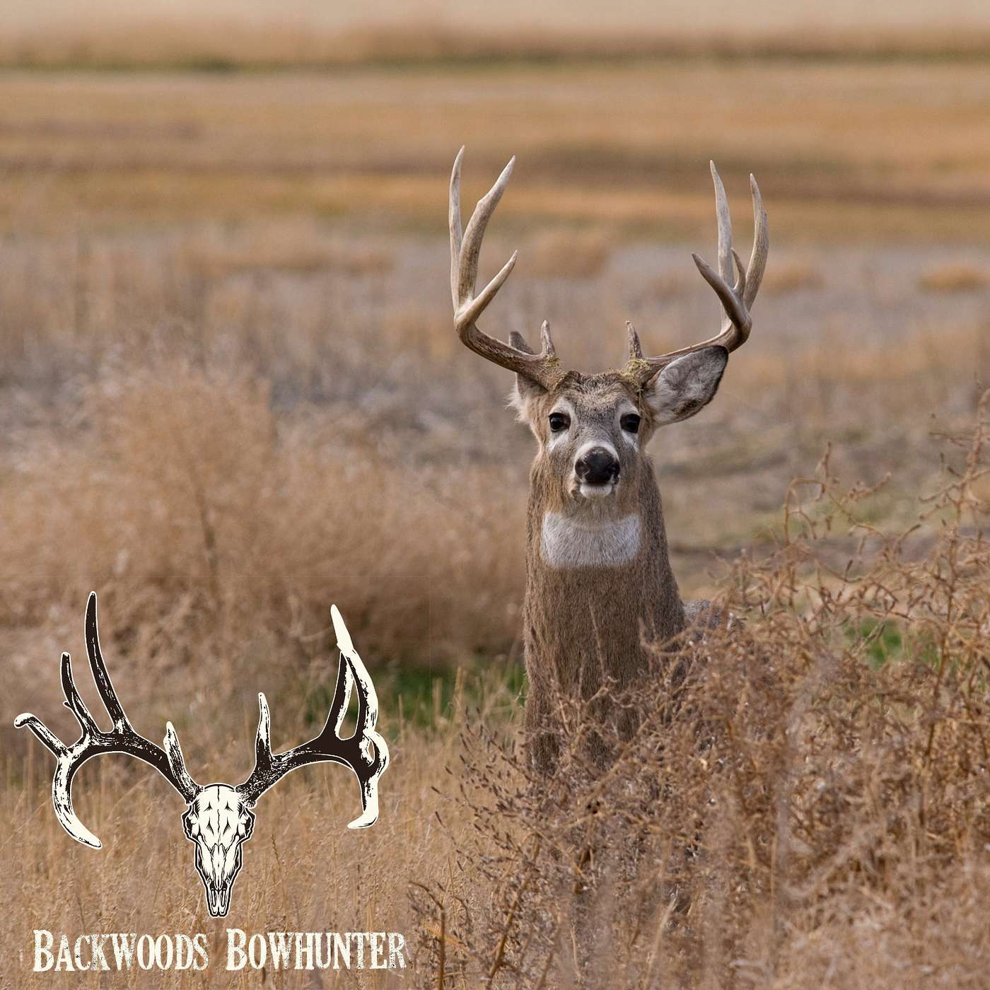 Backwoods Bowhunter
