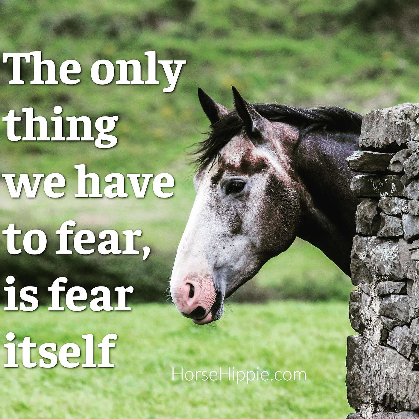 Face Your Real Fears