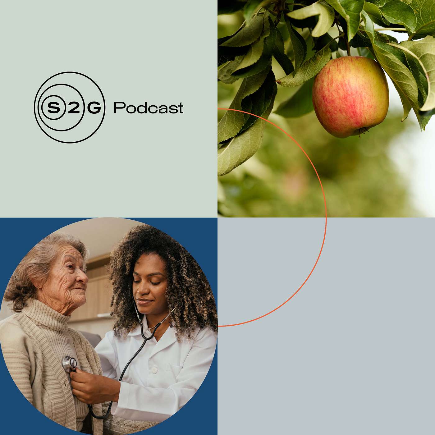 The Food as Health Solution Set