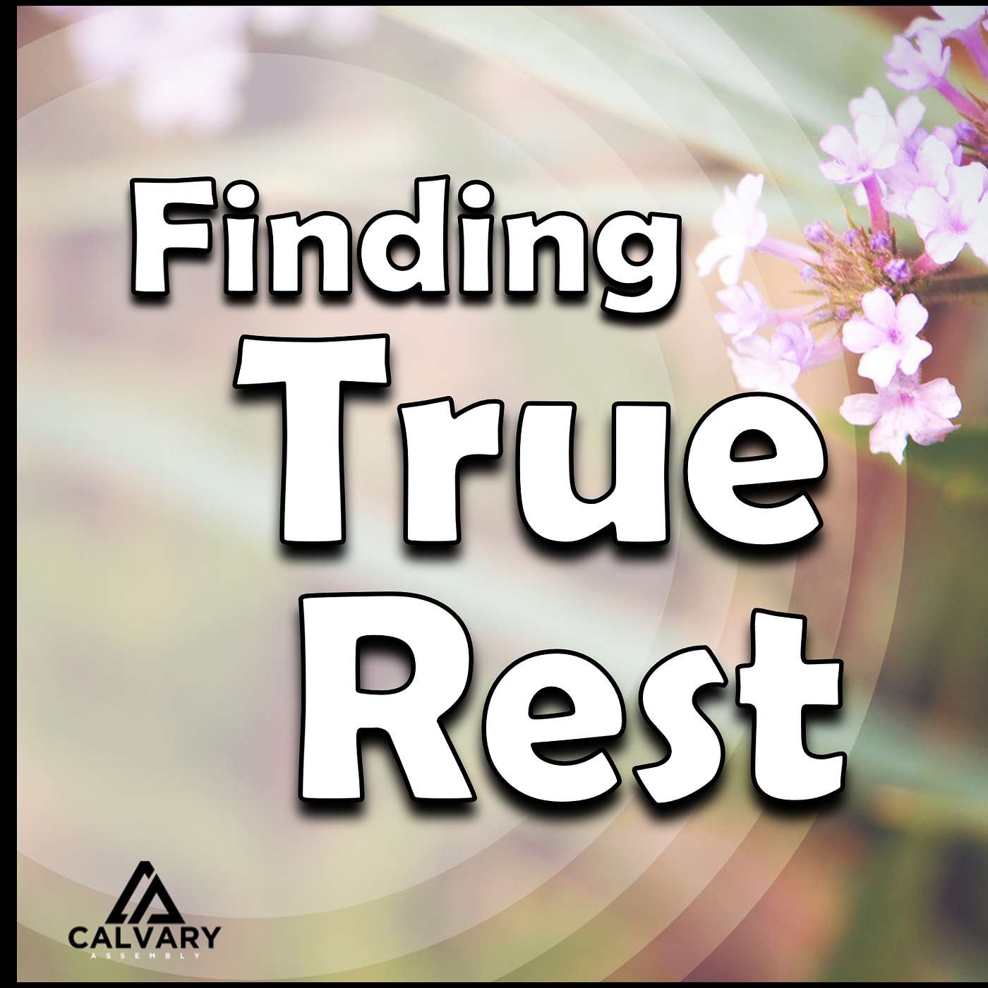 "Finding True Rest" - Season 3, Episode 9 episode artwork