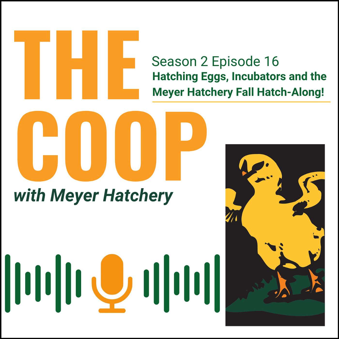 Hatching Eggs, Incubators, and the Meyer Hatchery Fall Hatch-Along!