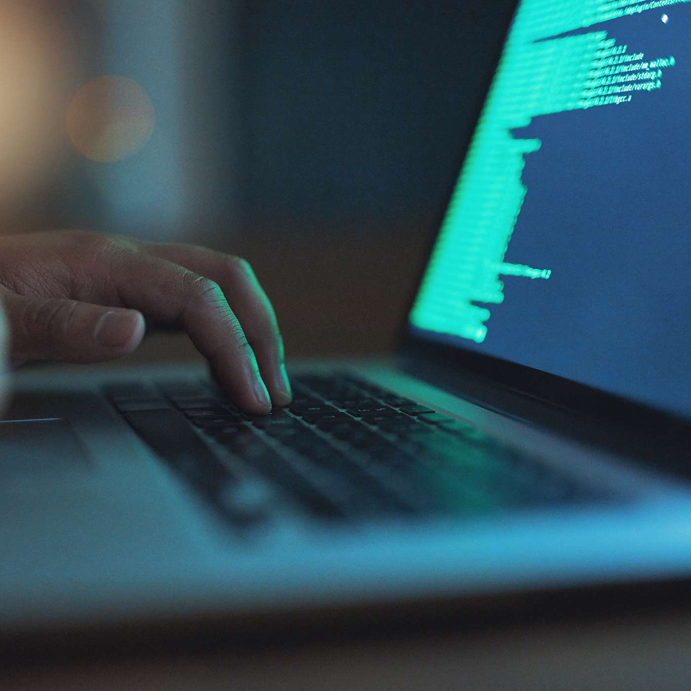 Combatting the Emerging Threat of Botnets